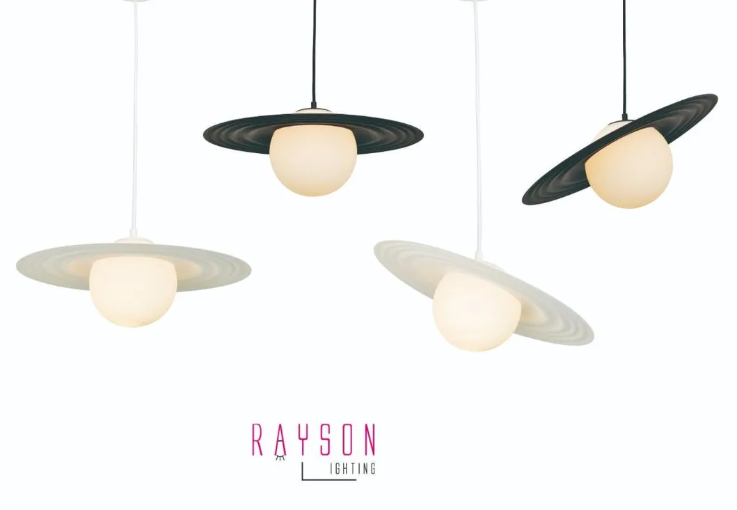 Nordic Creative Pendant Light Indoor Lamp CCT LED Lighting (RB-TL07-P)