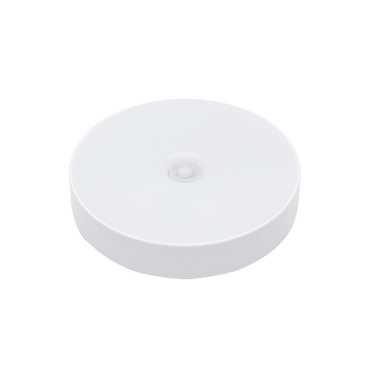 Indoor Motion Sensor Light Night Led Light