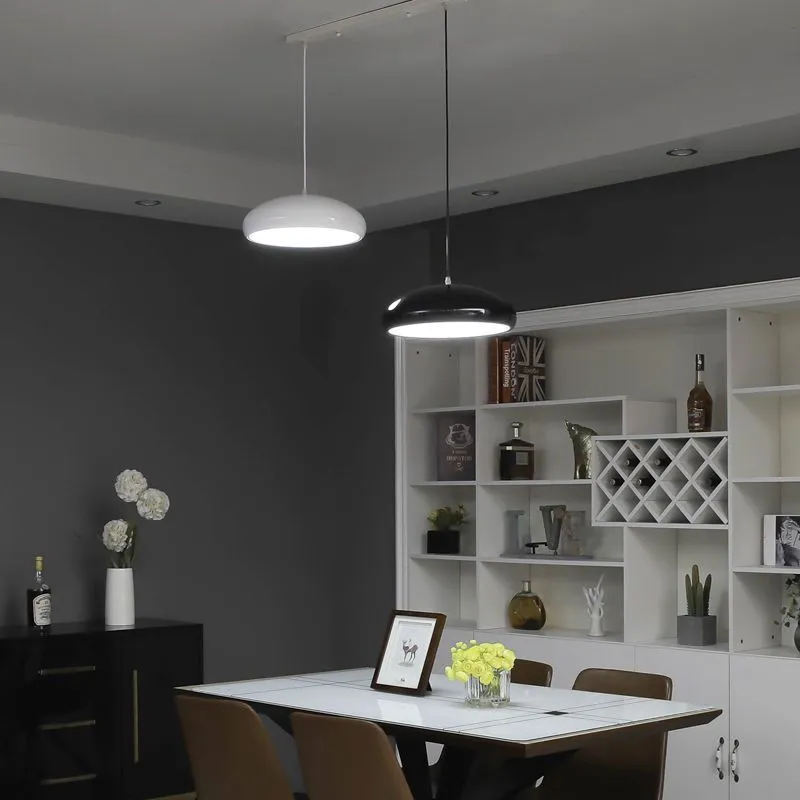 Indoor Decoration Chandelier Modern LED Single LED Lighting (ZY-J034)