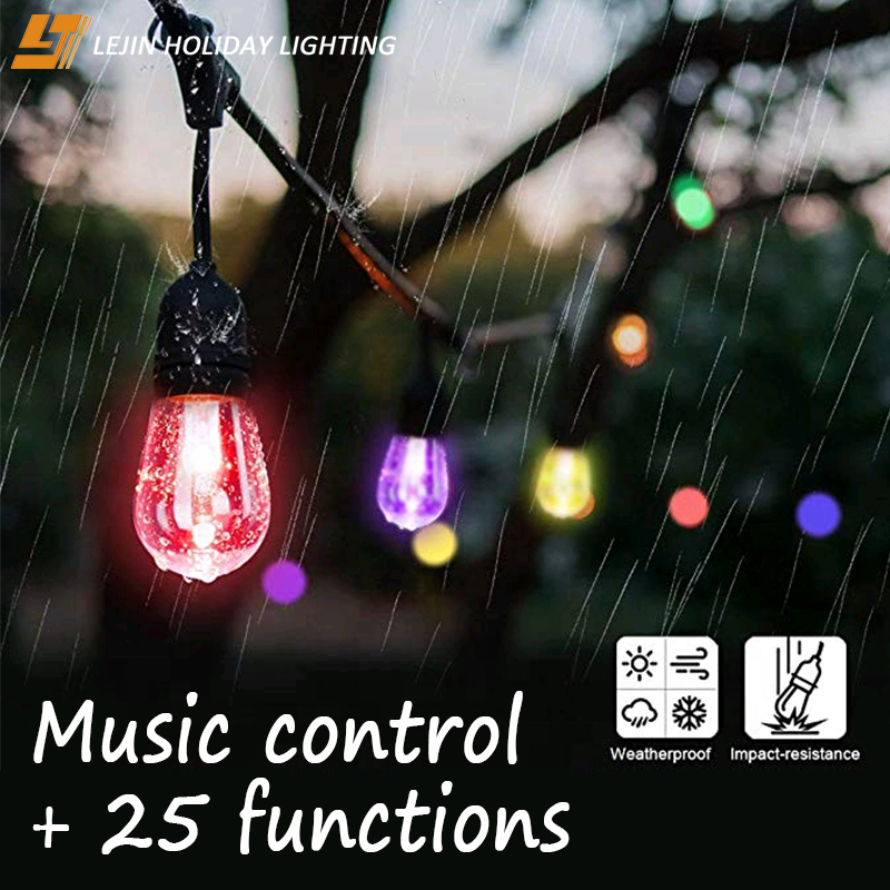 Hot Sale Outdoor Intelligent Led Smart Festoon Light for Holiday Decoration Garden Decoration