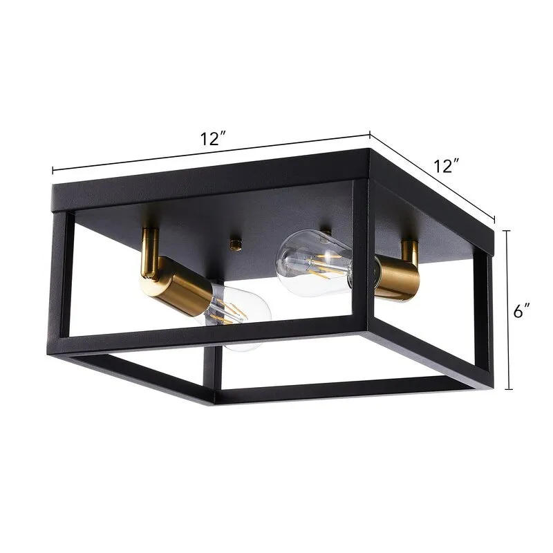 Amazon Best Selling Home Ceiling Lamp Black Iron Material Light Indoor Interior Decorative LED Ceiling Lighting
