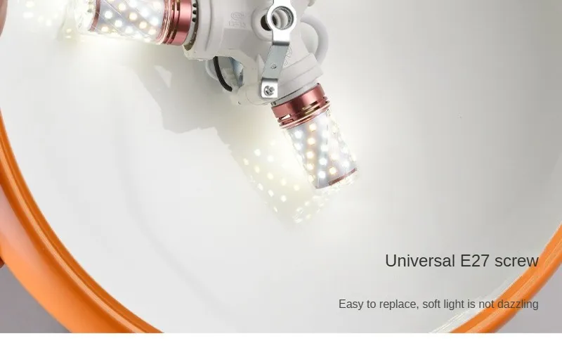 Indoor Decoration Chandelier Modern LED Single LED Lighting (ZY-J034)