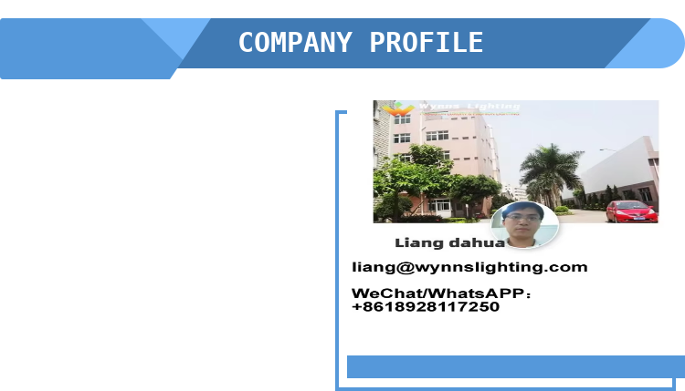 Decorative Lamp Manufacturing