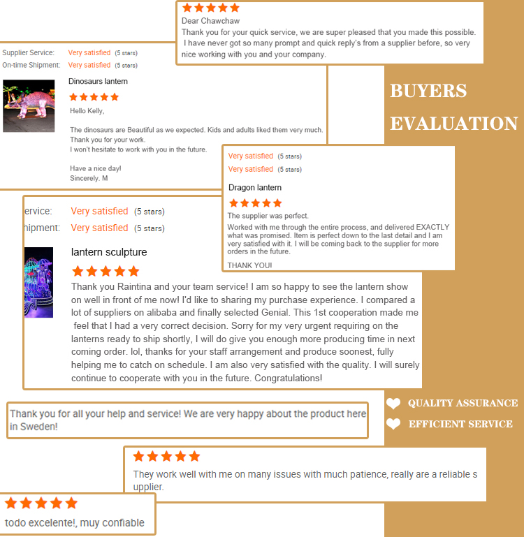 Customer Feedback Review