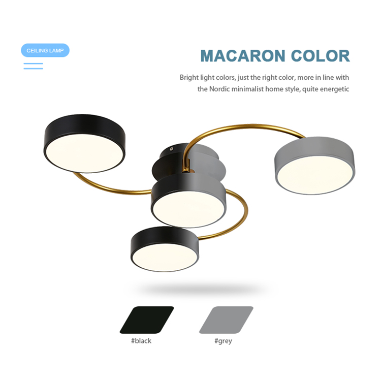 Customized Modern Indoor Decorative Lighting Lving Room Surface Mounted Led Ceiling Lamp