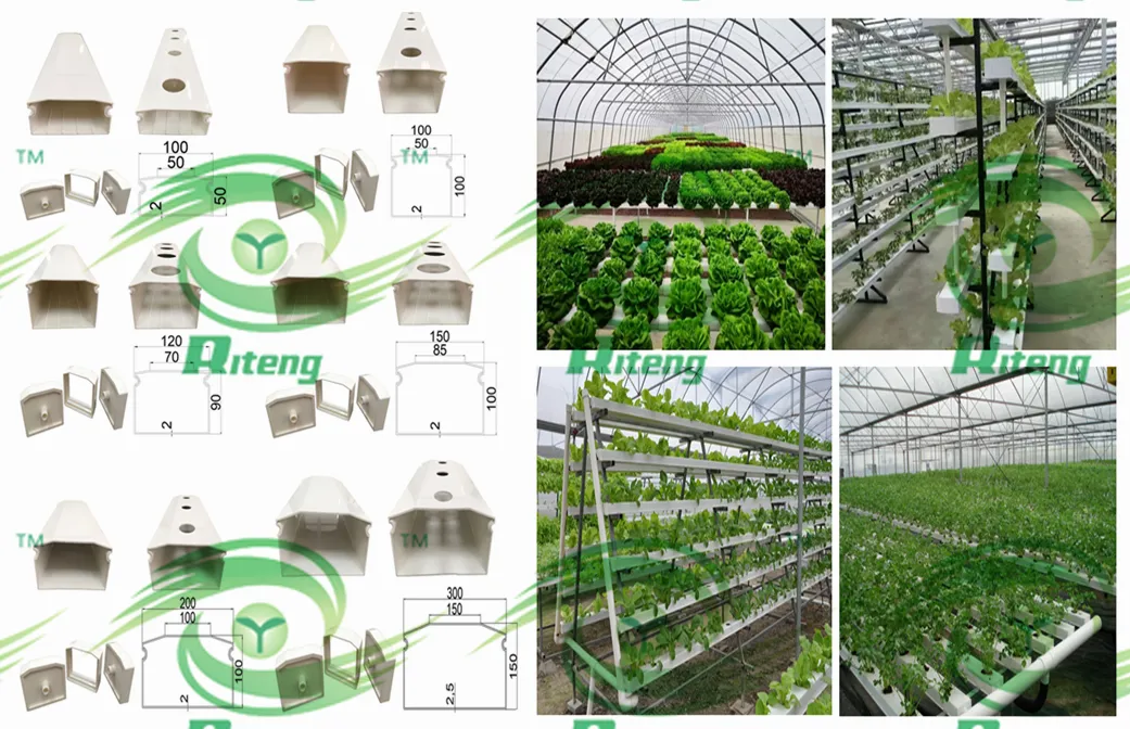 Germination Tray 6