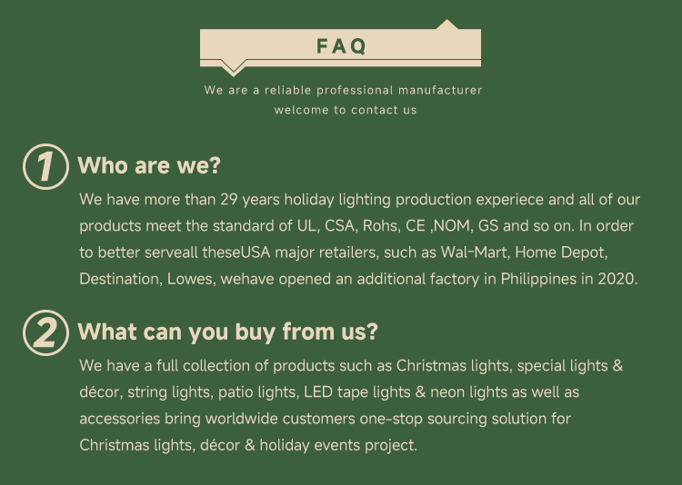 Decorative Light Color Options 6