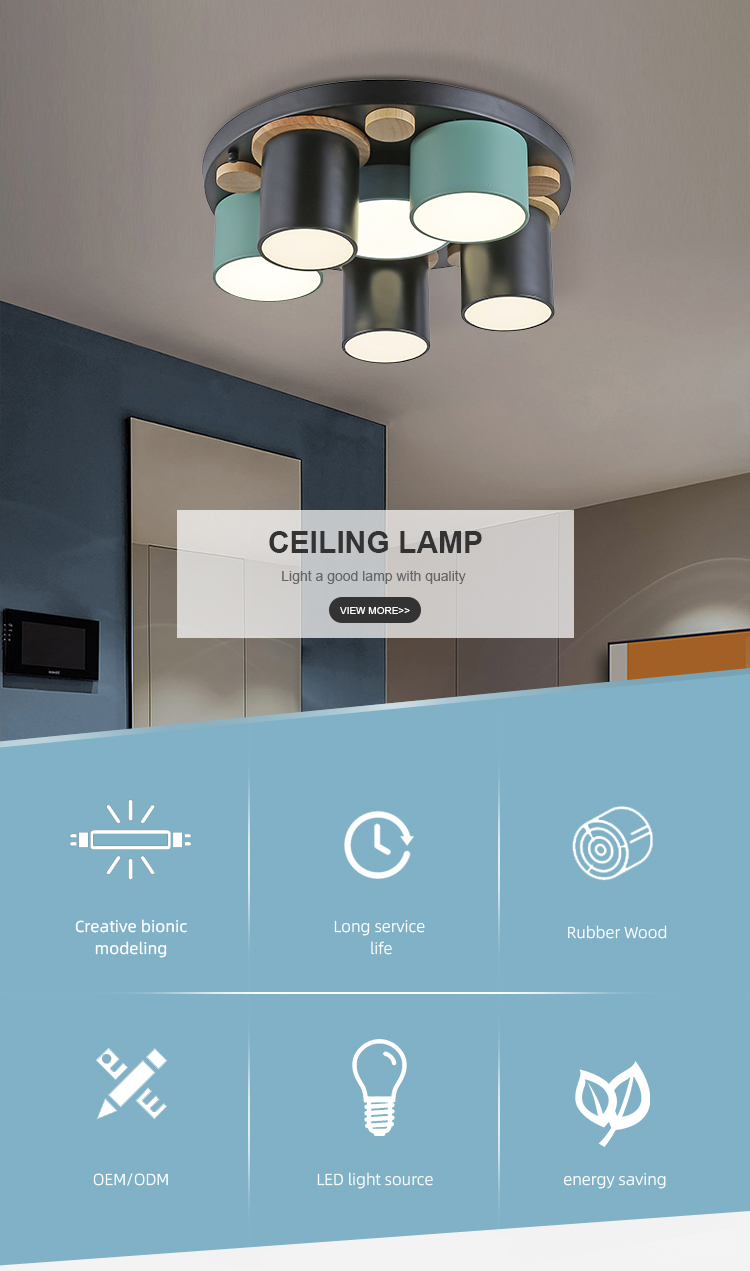 LED Ceiling Light Detail