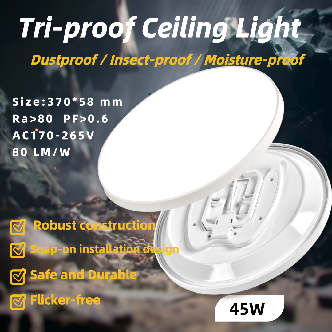 Ceiling Lamp Stylish Lighting for Home Decor Easy Installation Durable Energy Efficient by Product Category Ceiling Lights