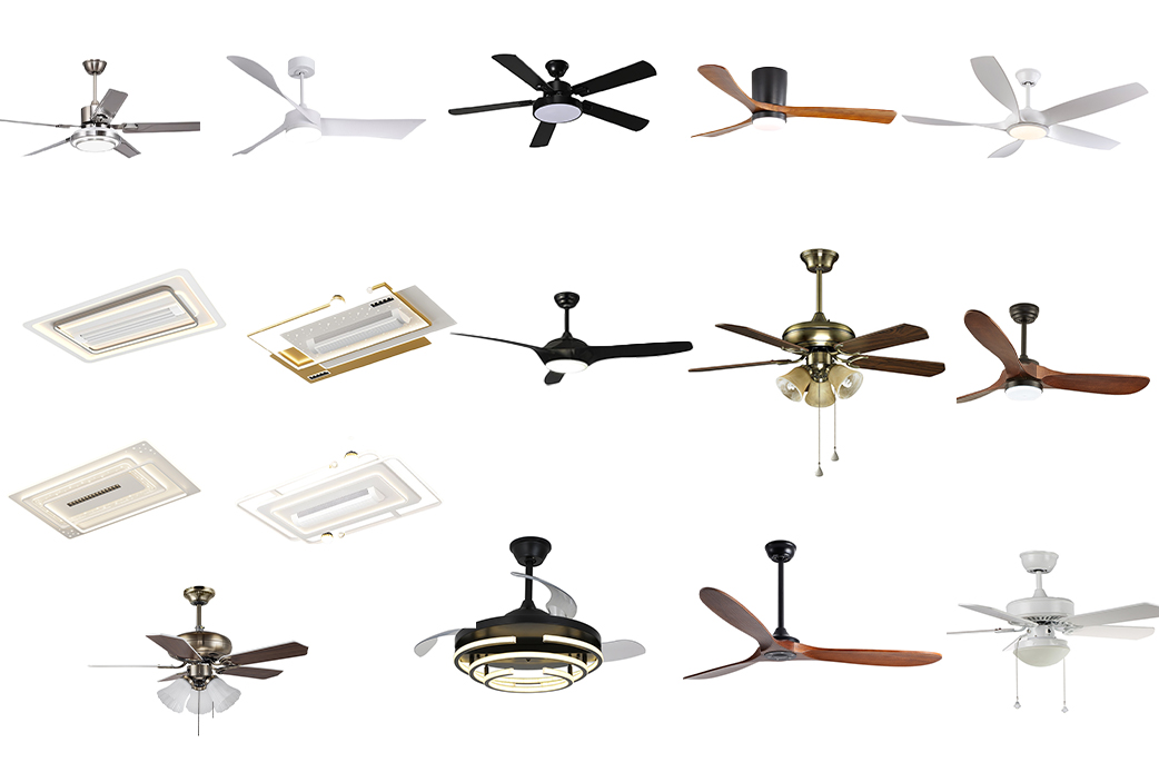 Related Products