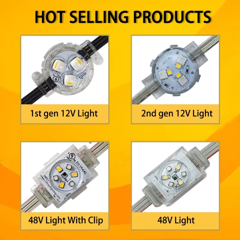 Twinklight Decorative Waterproof Outdoor Smart Pixel Led Eaves Light RGB Controller Permanent Roof Lighting Point Light