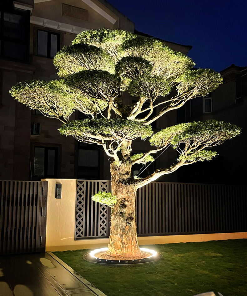 Tree Light Demo 2
