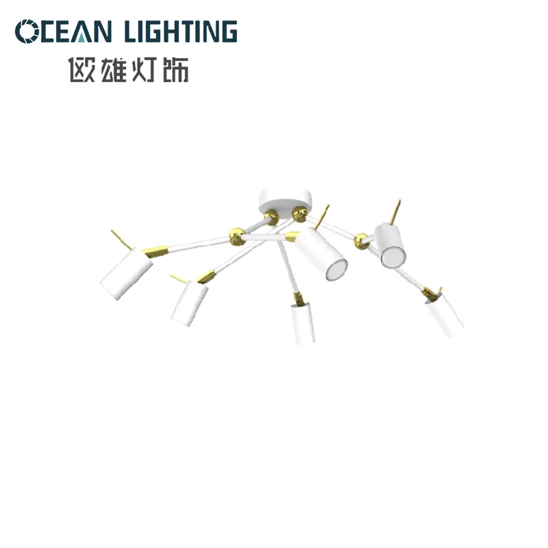 Modern Decorative Hanging Pendant Lighting