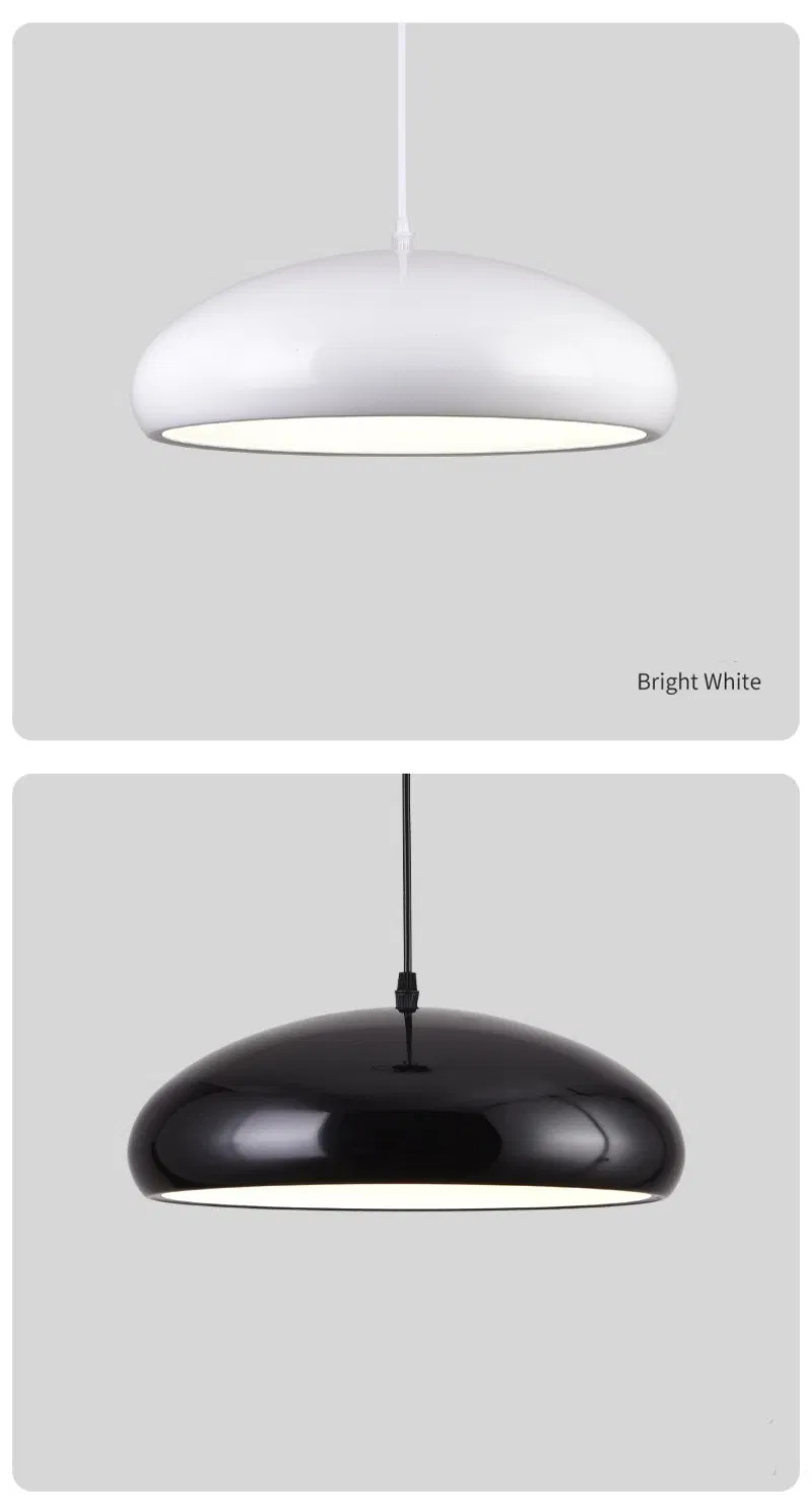 Indoor Decoration Chandelier Modern LED Single LED Lighting (ZY-J034)