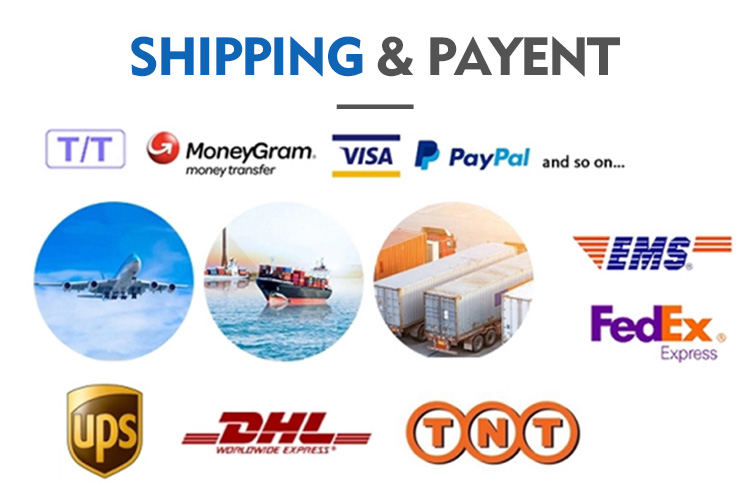 Shipping and Logistics Information