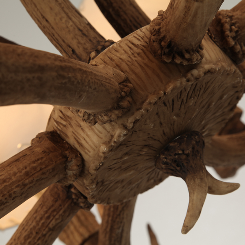 Product Detail 6