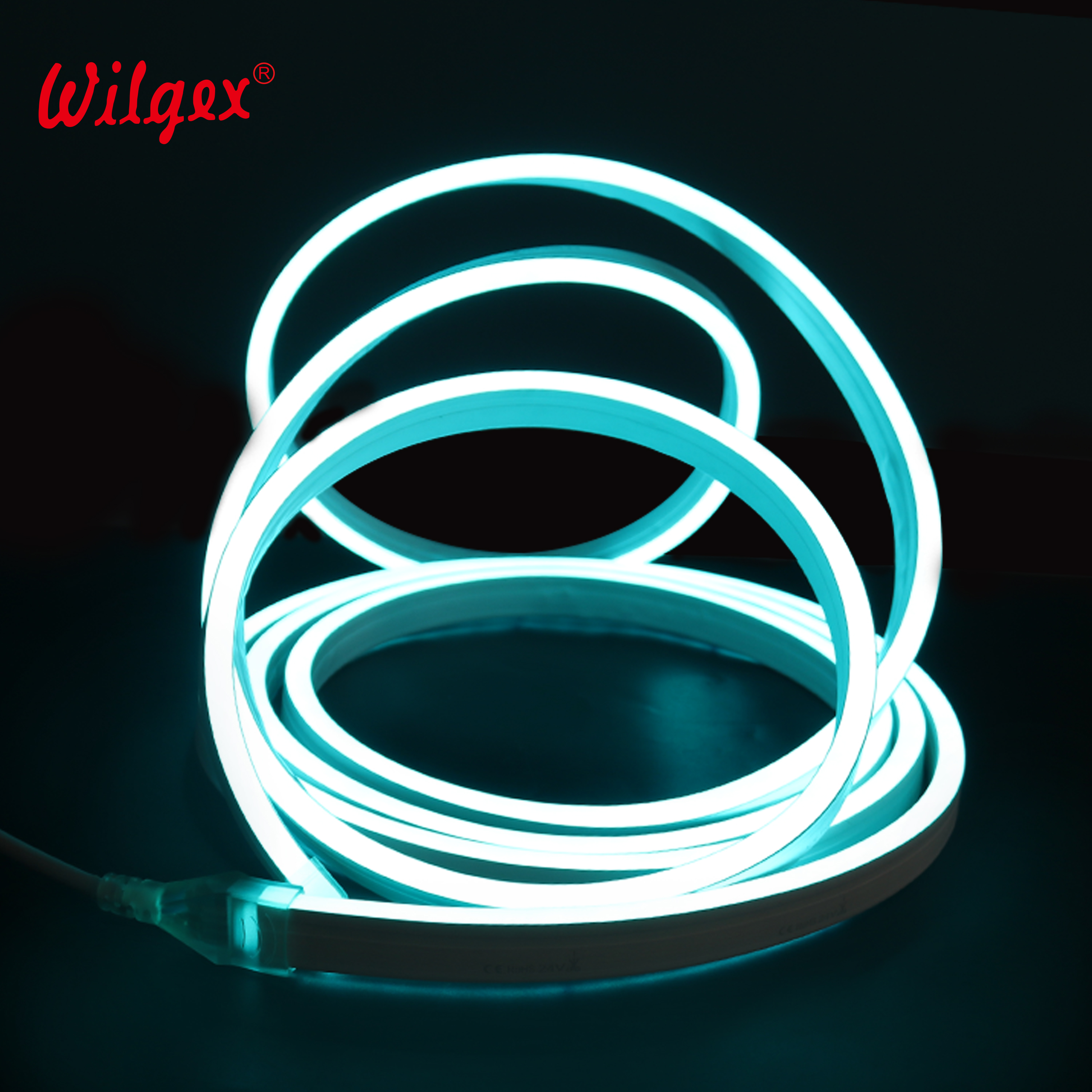 10x20mm RGB Flexible Neon Light IP68 Waterproof 24V/110V/220V Programmable LED Strip for Architectural Lighting
