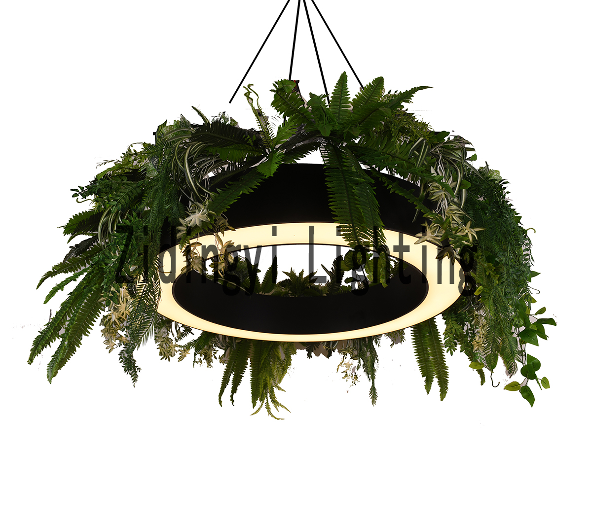 Product Display 1