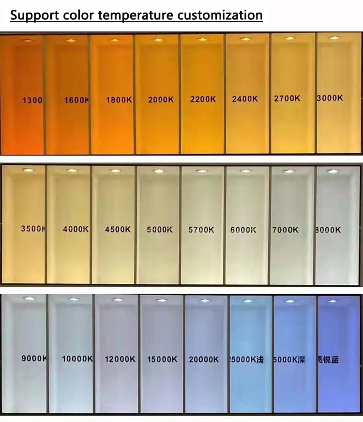 Specification 5