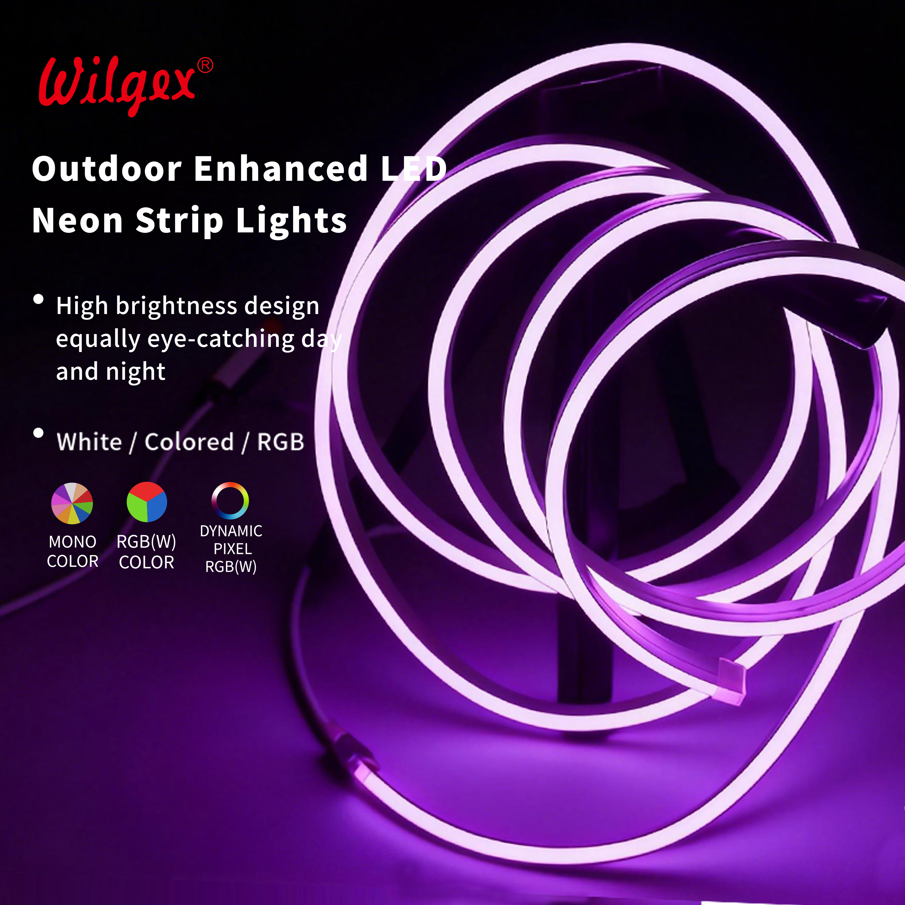 10x20mm RGB Flexible Neon Light IP68 Waterproof 24V/110V/220V Programmable LED Strip for Architectural Lighting