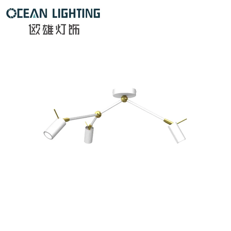 Modern Decorative Hanging Pendant Lighting