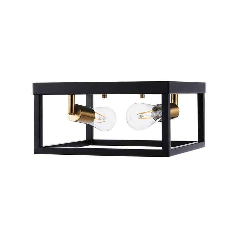 Amazon Best Selling Home Ceiling Lamp Black Iron Material Light Indoor Interior Decorative LED Ceiling Lighting