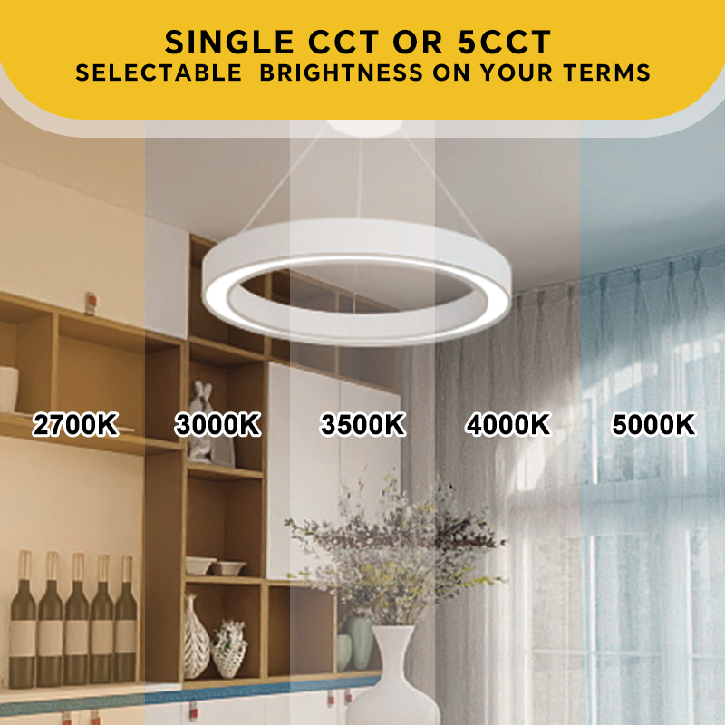 Custom Decoration Shape Ceiling Suspended Rgb up &amp; Down Drop Lighting Led a Quarter Circular Architectural Pendant Linear Light
