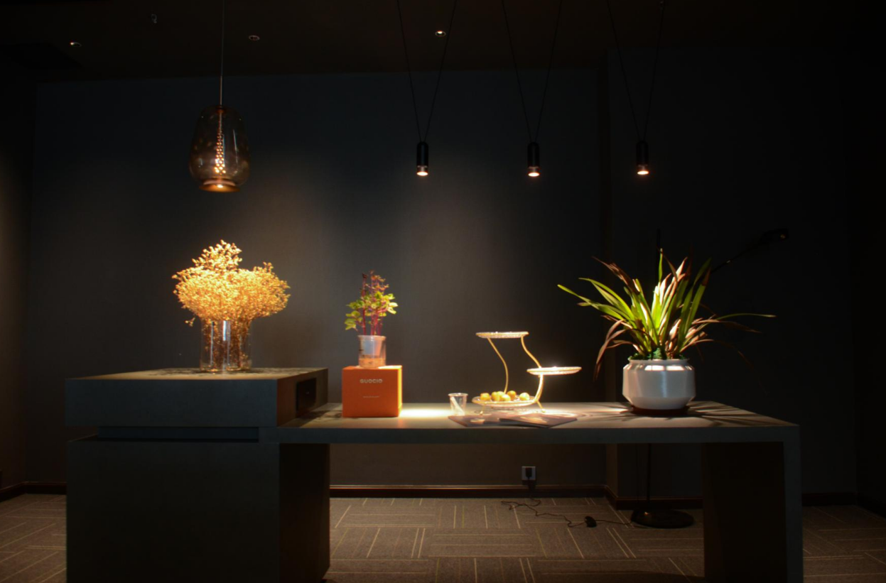 Product Showcase 7