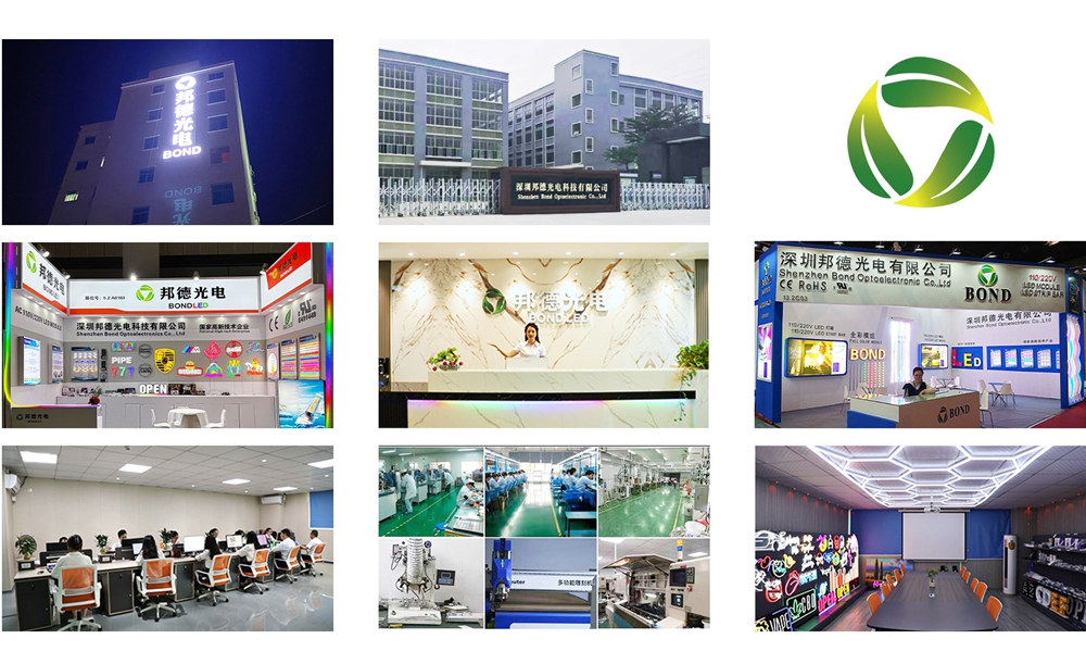 Bond Wholesale Pure Silicone LED Neon Strip Lights IP65 Waterproof 12V Custom Size For Outdoor Landscapes &amp; Decorations