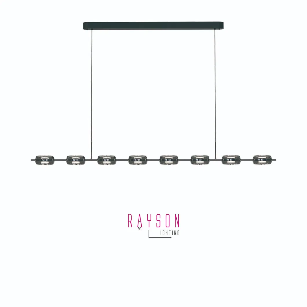 Modern Luxury Decorative Glass Pendant Lamp Indoor CCT LED Creative Chandelier Dining Room Lighting (1134)