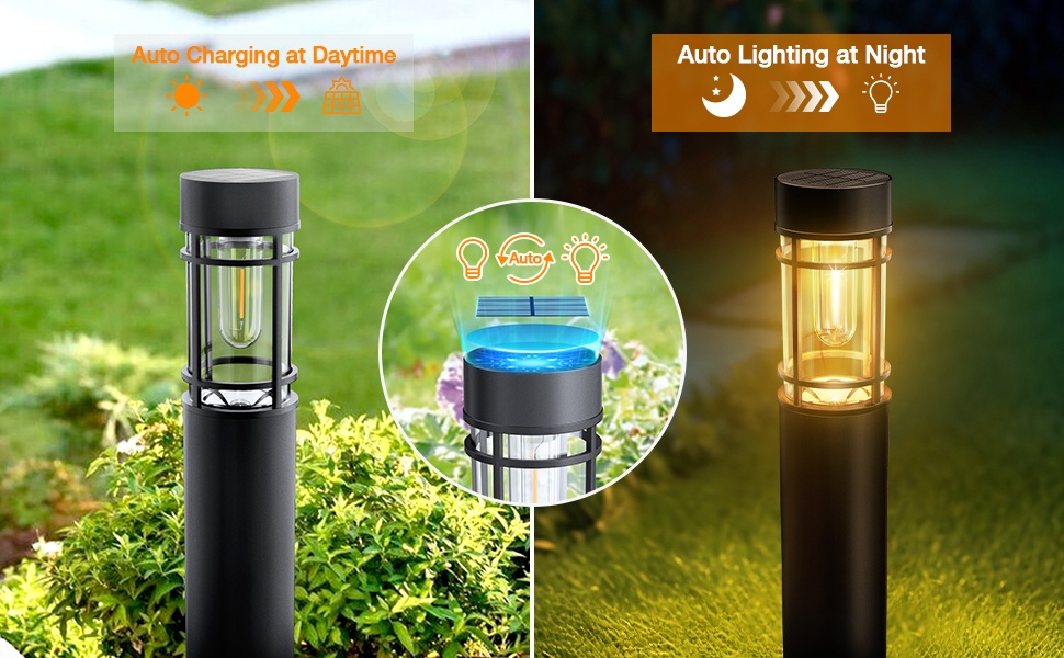 Solar Garden Lights Landscape