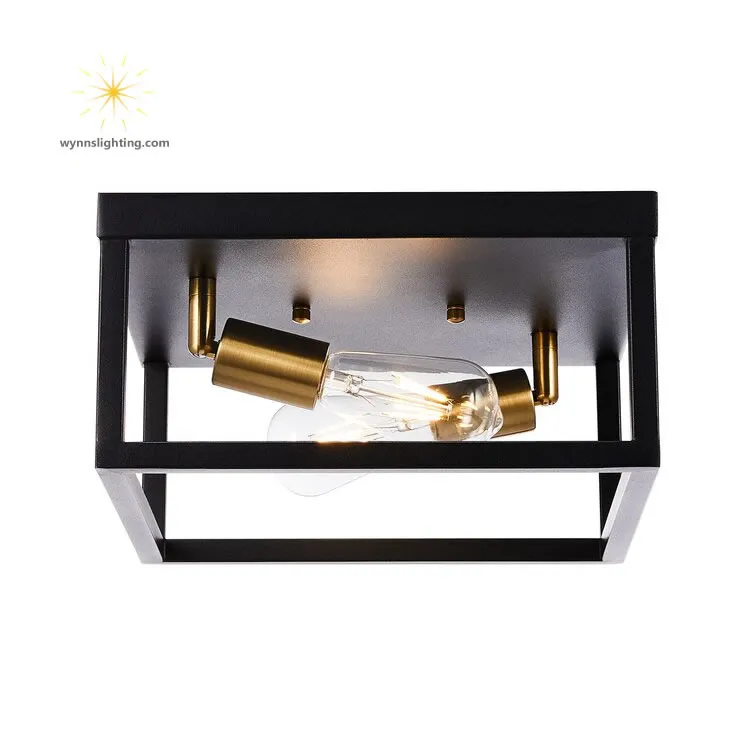 Amazon Best Selling Home Ceiling Lamp Black Iron Material Light Indoor Interior Decorative LED Ceiling Lighting