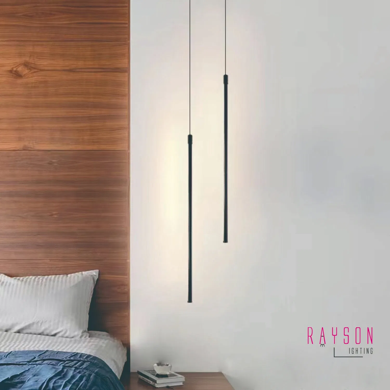 Indoor Decorative CCT LED Pendant Lighting (RB-TL05-1P)