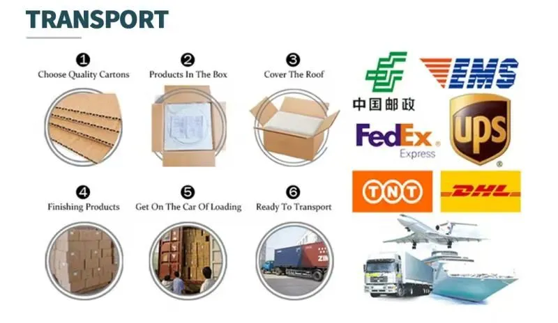 Transportation Info