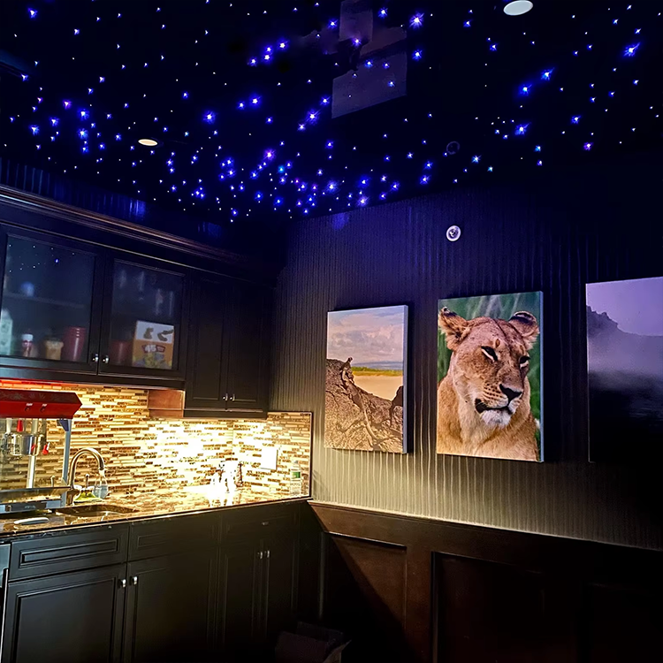 Starry Sky Room View 2
