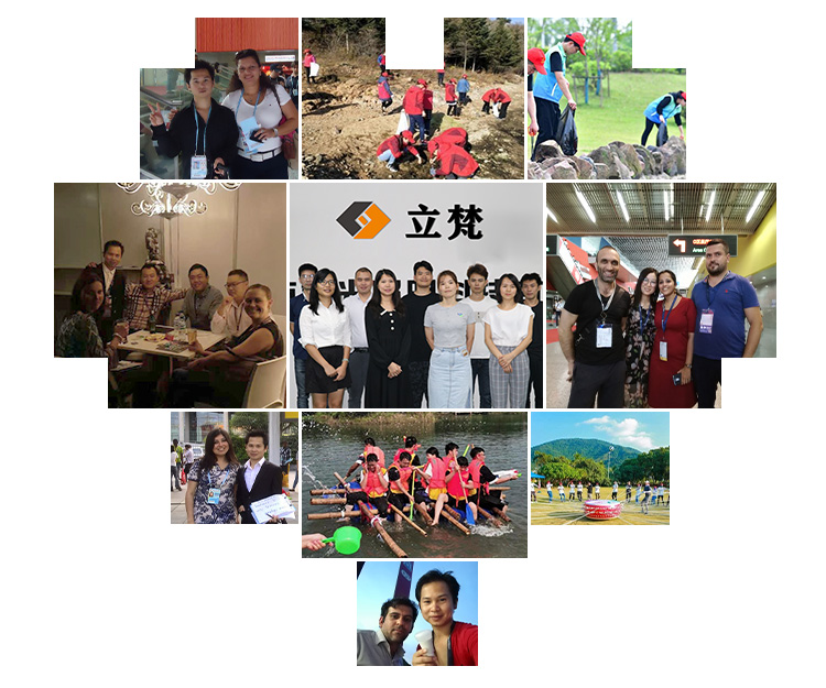 Our Team
