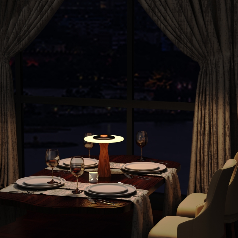Indoor Outdoor LED Lights; DC Battery-Powered Touch Control Eco-Friendly Cordless Adjustable Modern Design; Easy Install