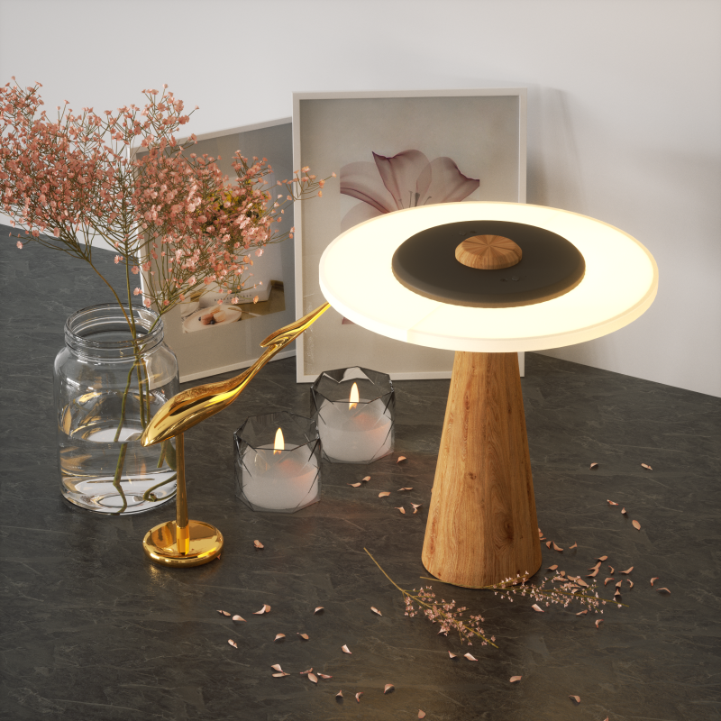 Indoor Outdoor LED Lights; DC Battery-Powered Touch Control Eco-Friendly Cordless Adjustable Modern Design; Easy Install