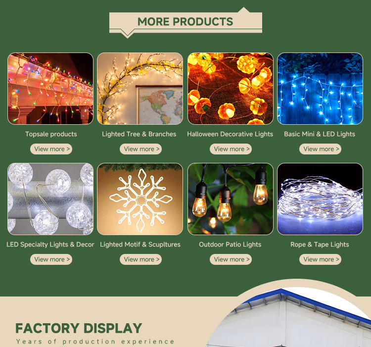 Decorative Light Color Options 1