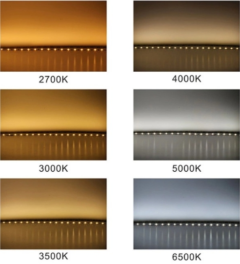 SMD2835 120LEDs/M DC12V 24V Energy-Efficient IP65 Indoor Landscape Decorative LED Lighting