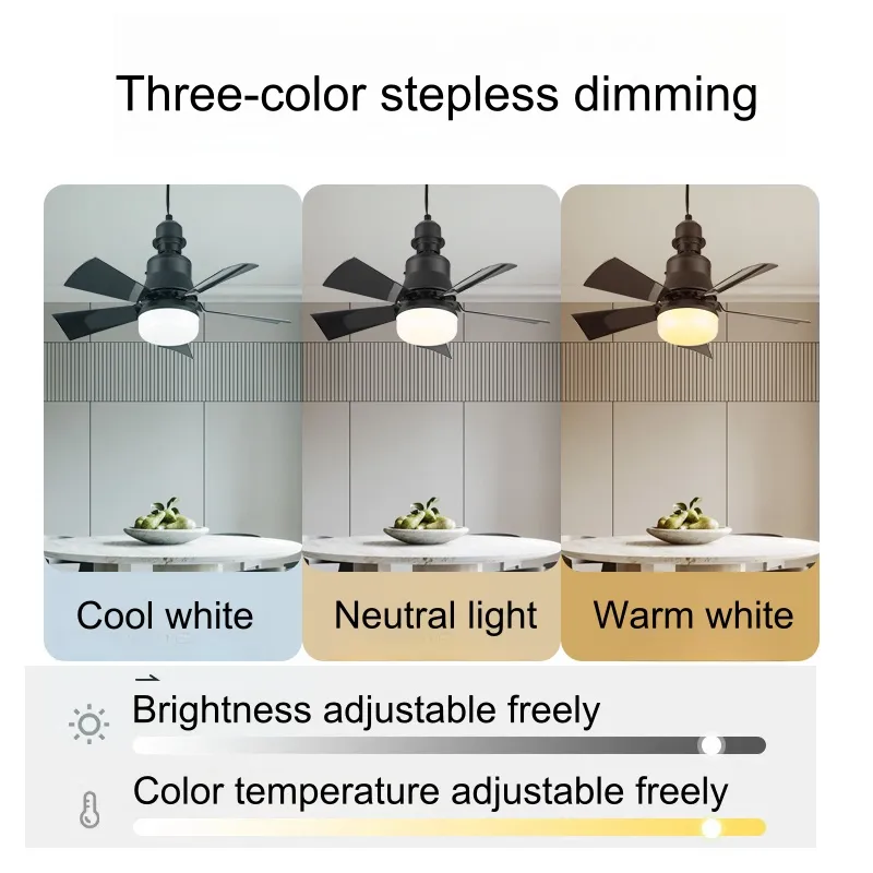 30W LED Lamp Indoor Decorative Living Room Remote Control Modern Ceiling Fan Lighting