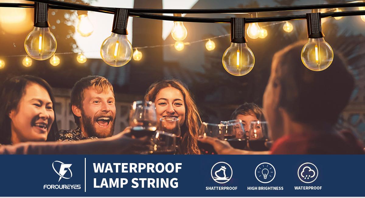 LED Decorative Festoon String Lights