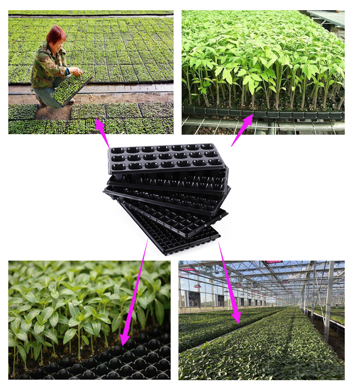 Plastic Flower Seeds Germination Tray Forsoilless Cultivation and Hydroponic Systems