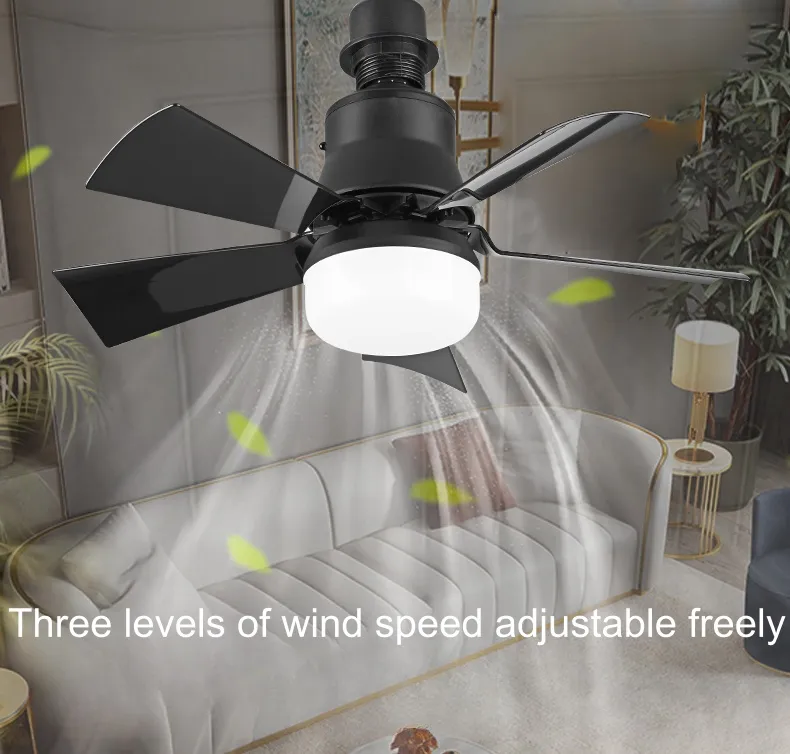30W LED Lamp Indoor Decorative Living Room Remote Control Modern Ceiling Fan Lighting