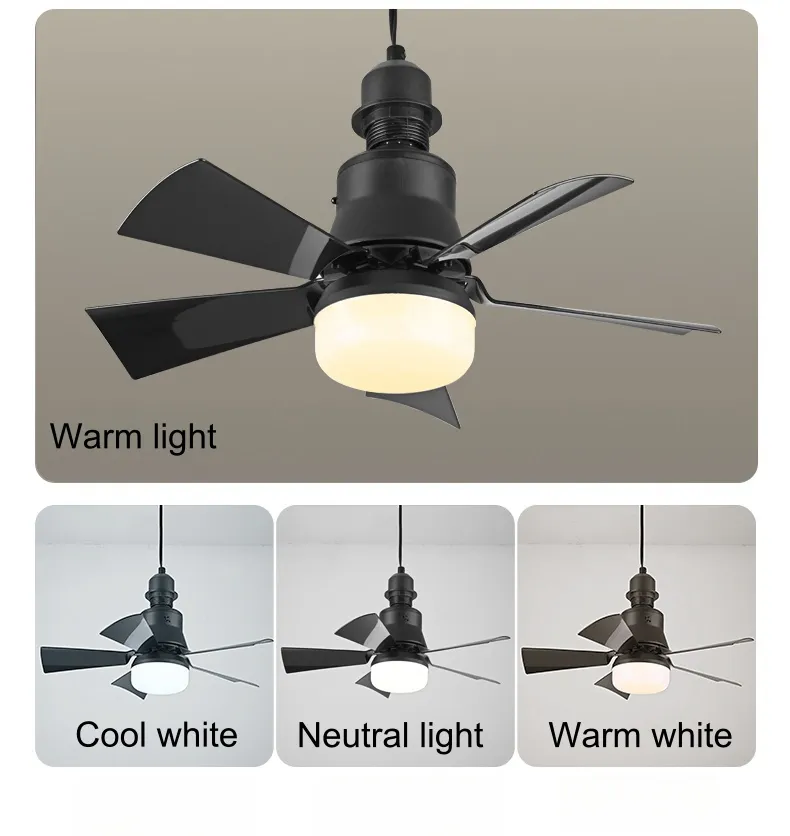 30W LED Lamp Indoor Decorative Living Room Remote Control Modern Ceiling Fan Lighting