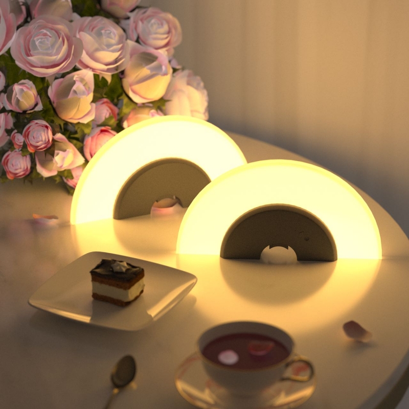 Indoor Outdoor LED Lights; DC Battery-Powered Touch Control Eco-Friendly Cordless Adjustable Modern Design; Easy Install