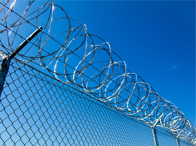 Barbed Wire