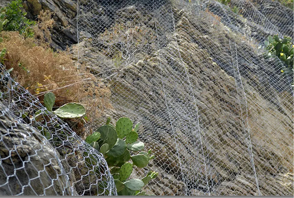 Active Protection Net Slope Rockfall Prevention Application