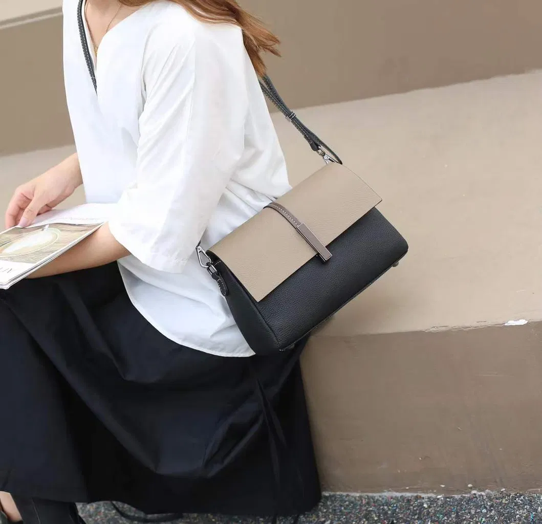 Fabricante Profesional de Bolsos Bolsa Inteligente Gran Sala de Exposición 5000 Estilos de Moda Pedido Personalizado Exportar Bolsos