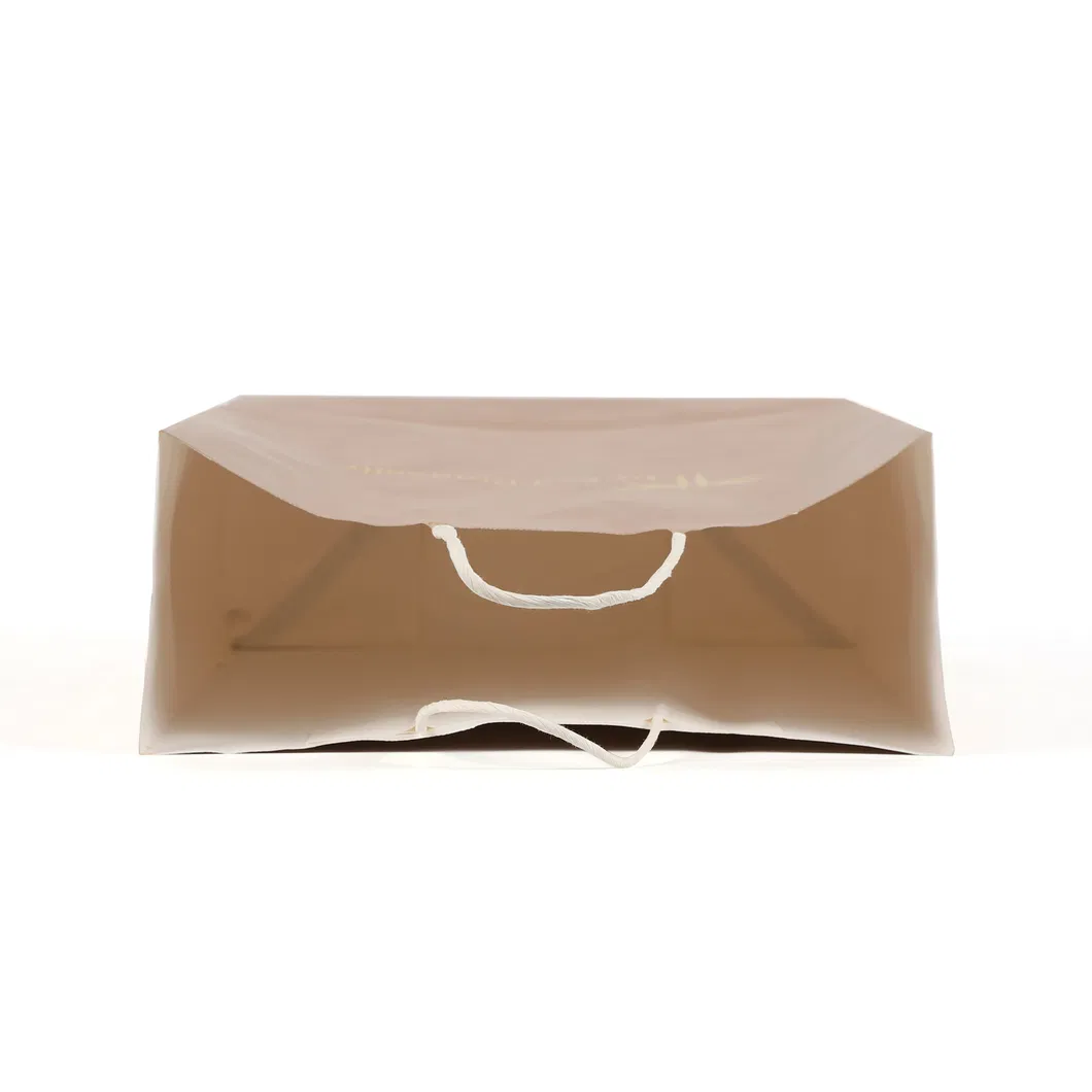 Bolsas de papel kraft biodegradables personalizadas con tu propio logo